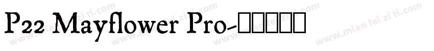 P22 Mayflower Pro字体转换